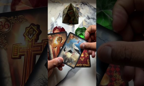 Sua vida financeira vai melhorar? #tarot #tarothoje #tarotgratis #tarotamor