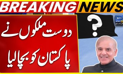 Pak-UAE Financial Update | Debt Repayment Plan Finalized | 2 Countries Step In to Support Pakistan