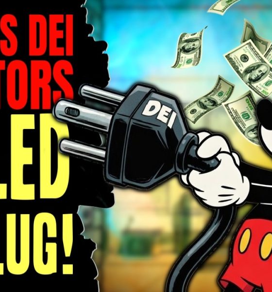 Disney's DEI Investors PULLED THE PLUG ~ Financial Institutions OUT!