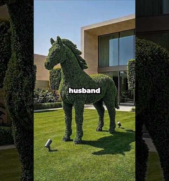 we went to a financial advisor to plan for our first baby. he looked at my husband's secret accou...