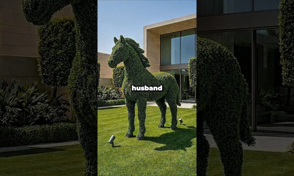 we went to a financial advisor to plan for our first baby. he looked at my husband's secret accou...