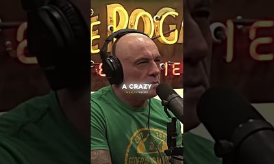 Joe Rogan on Ferrari Suing Philipp Plein! #money #finance #changeyourmindsetchangeyourlife