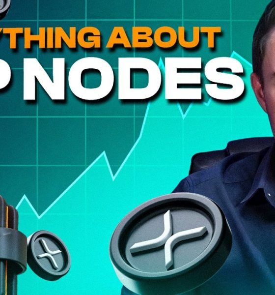 XRP Activity Is Rising | What It Means for the Network