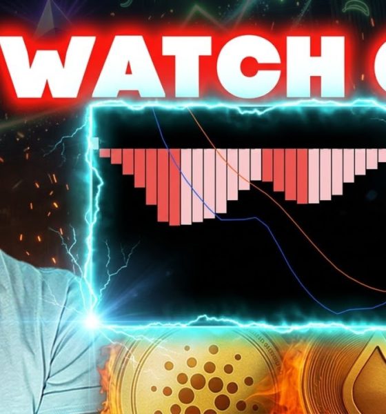 CRYPTO Reacts To CEASEFIRE Deal! (Time To Be VERY Careful)