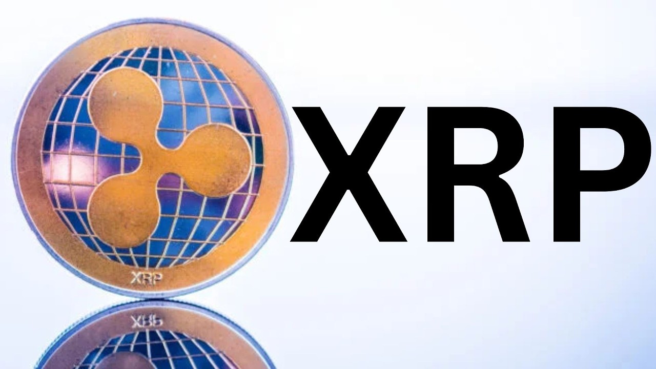 XRP OMGGGGGGGGGGGGGG !!!!!