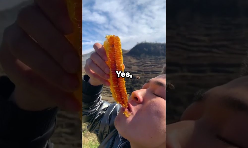 During my financial aid interview, the advisor pulled up my father's name and asked if he knew I was