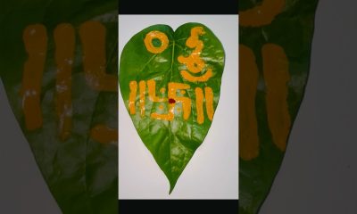 Dhana Aakarshana Tamalapaku #youtubeshorts #shorts #trending #viral #money #puja #bhakti