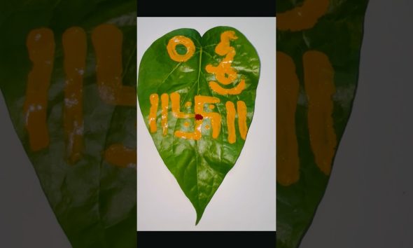 Dhana Aakarshana Tamalapaku #youtubeshorts #shorts #trending #viral #money #puja #bhakti