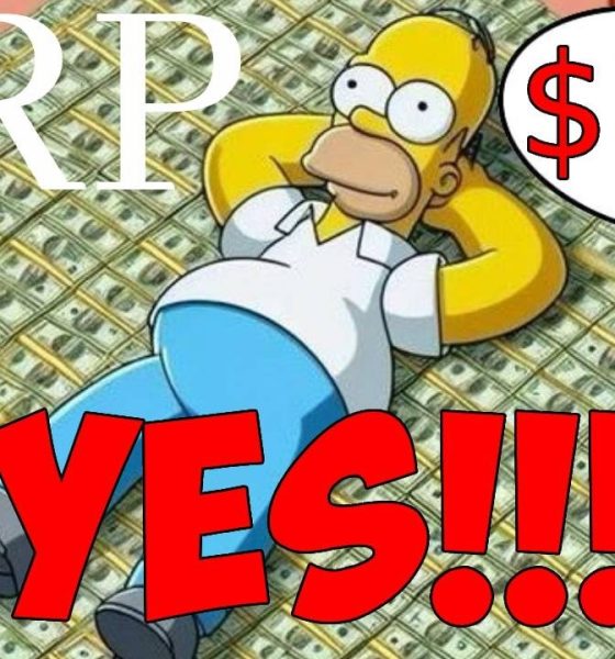 Ripple XRP DAVID SCHWARTZ CONFIRMED $22 IM LITERALLY SHOCKED!!!
