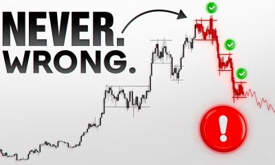 This Chart PERFECTLY Predicted Bitcoin's Last 300 Days. $50K Is Next.