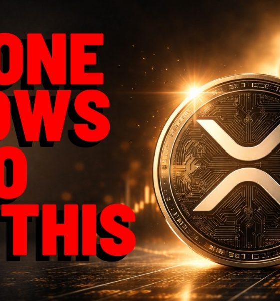 XRP: No One Knows WHO DID THIS