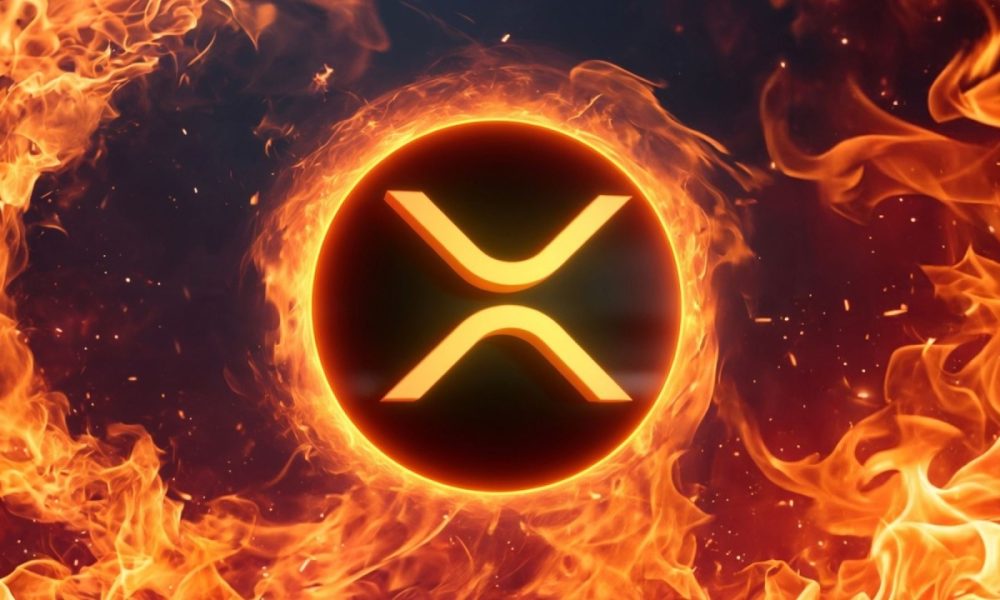 XRP I'M SCARED !!!! 1300 DAY MR POOL WARNING !!!!