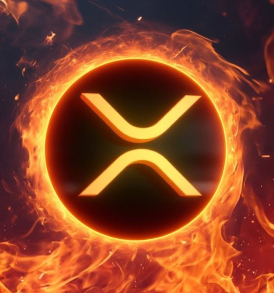 XRP I'M SCARED !!!! 1300 DAY MR POOL WARNING !!!!