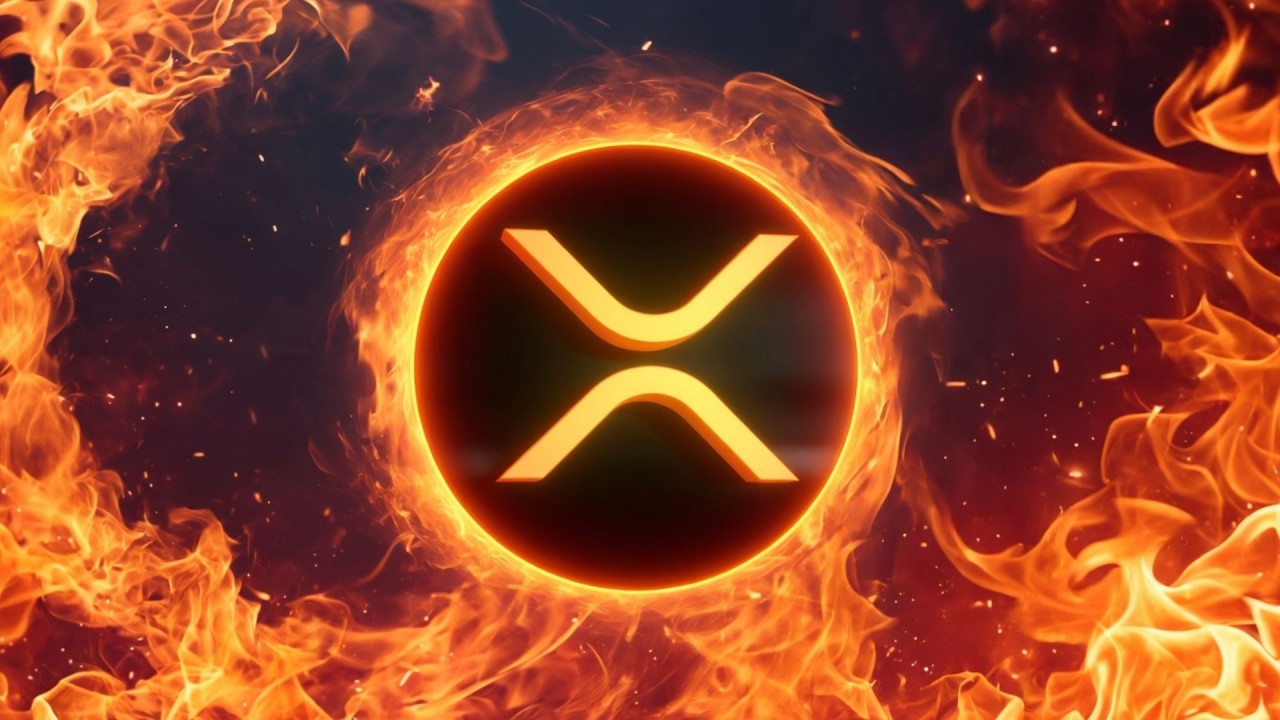 XRP I'M SCARED !!!! 1300 DAY MR POOL WARNING !!!!