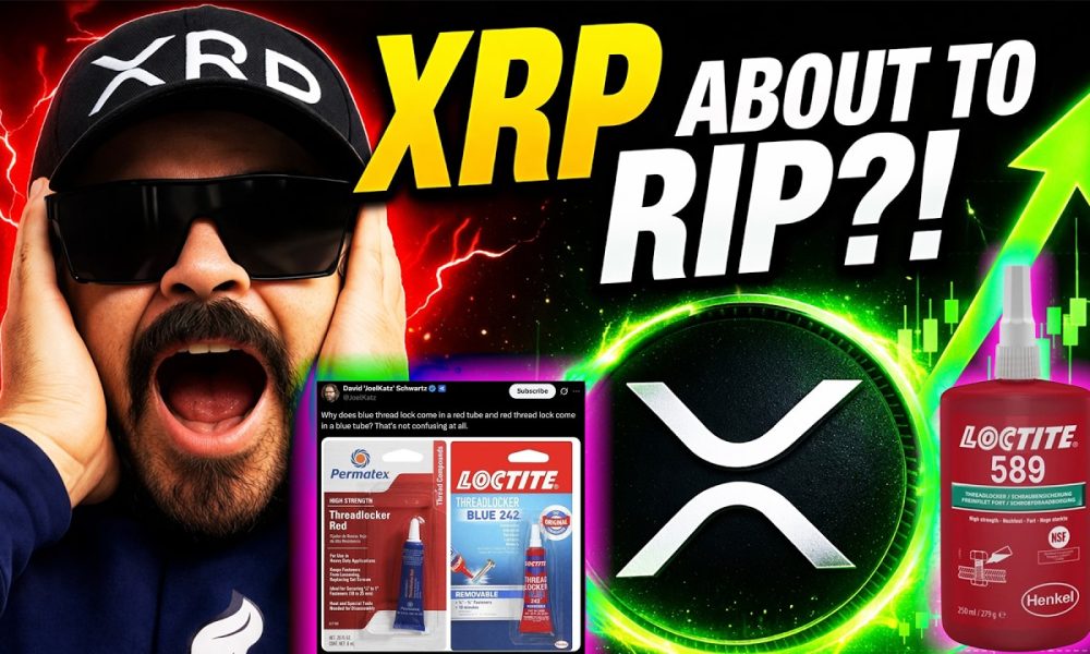 THIS is Why XRP Holders Will WIN BIG (Don’t Miss This)