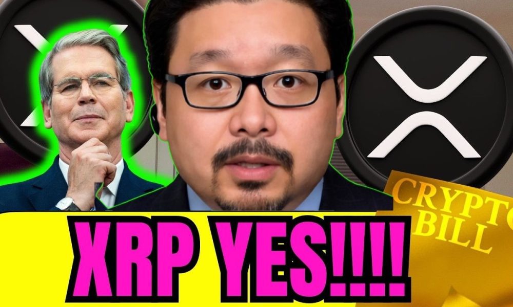 XRP CLARITY BREAKING NEWS!! ALL IN XRP Before It's || xrp news today