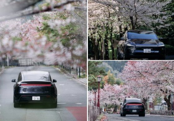 Hyundai Ioniq 6 electric sedans