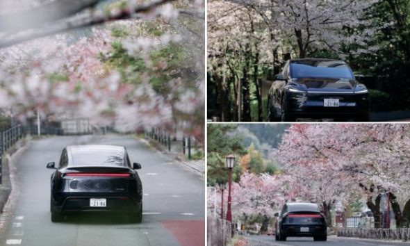 Hyundai Ioniq 6 electric sedans