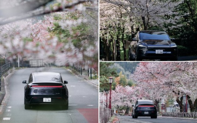 Hyundai Ioniq 6 electric sedans