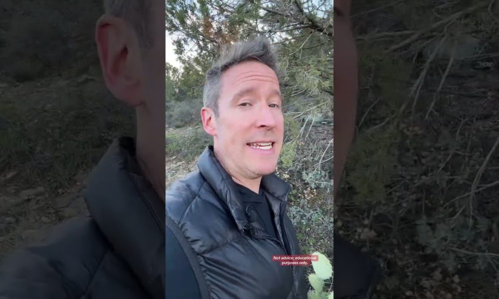 The #1 Financial Account Nobody is Talking About #finance #wealth #money #tyler #realwealth