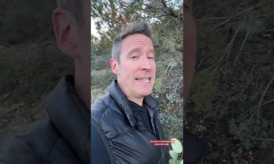 The #1 Financial Account Nobody is Talking About #finance #wealth #money #tyler #realwealth