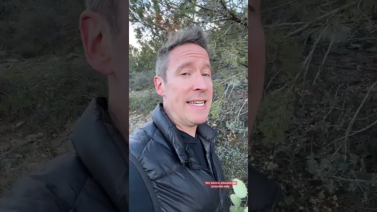 The #1 Financial Account Nobody is Talking About #finance #wealth #money #tyler #realwealth