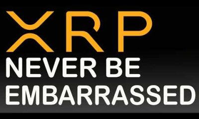 Ripple XRP GUIDES CONGRESS, XRP Wallets HIT HIGH, Money Supply Surges, Bitwise Spotlights Moonshots