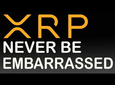 Ripple XRP GUIDES CONGRESS, XRP Wallets HIT HIGH, Money Supply Surges, Bitwise Spotlights Moonshots