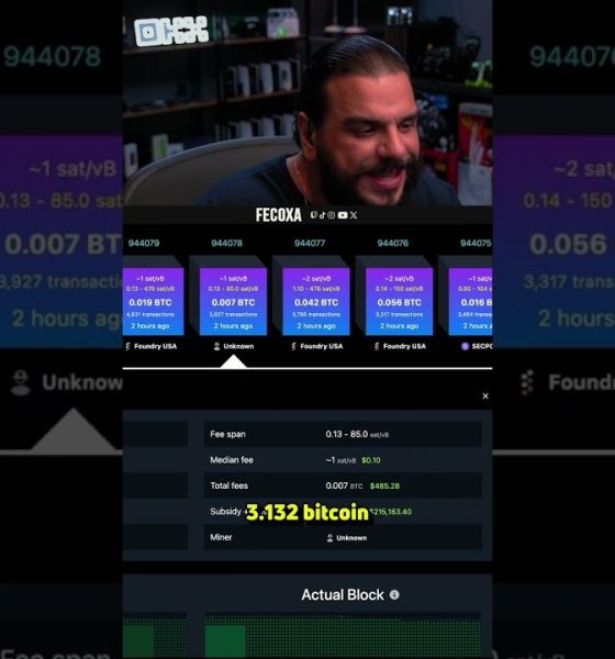 MAIS UM BLOCO DE BITCOIN ENCONTRADO! Com a NerdQaxe++ #web3 #bitcoin #nerdqaxe