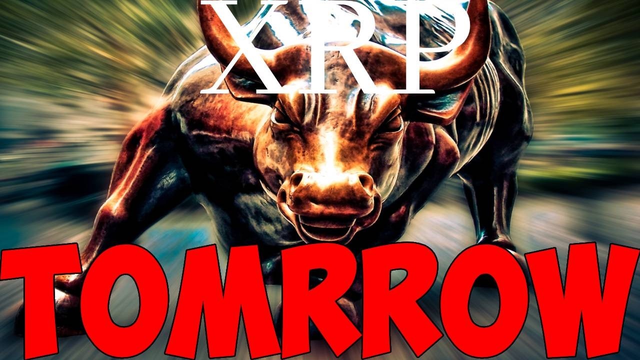 Ripple XRP MOON TRIGGERS TOMORROW!!!