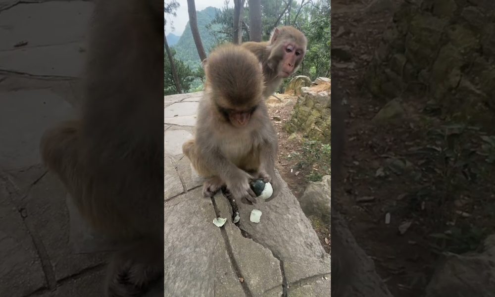 money funny video / #funny #money