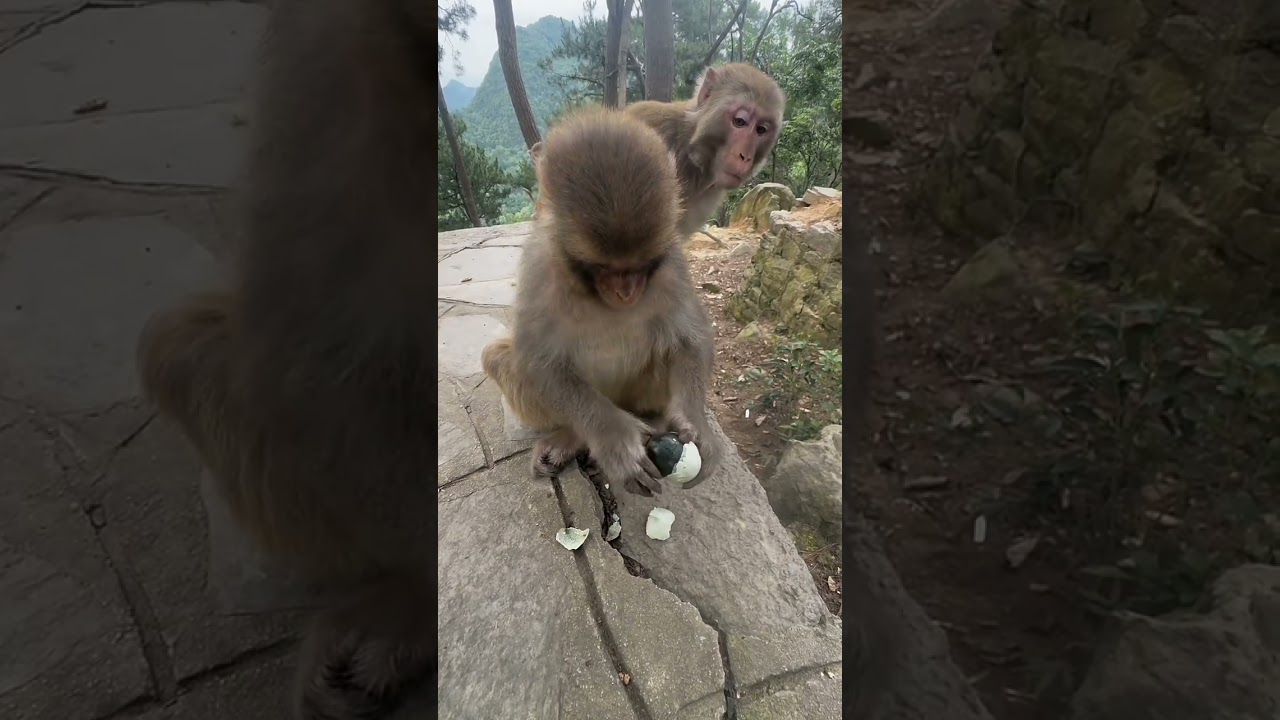 money funny video / #funny #money