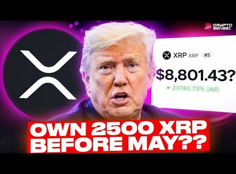MAJOR XRP PRICE ESTIMATE?!? (I'M STOCKING UP NOW!)