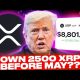 MAJOR XRP PRICE ESTIMATE?!? (I'M STOCKING UP NOW!)