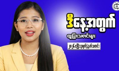 The Clear Path to Financial Independence