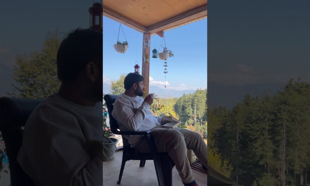 Money matters #moneymindset #money #nomoneynohoney