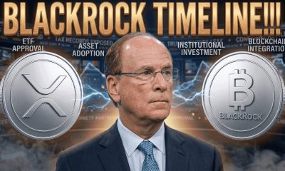 XRP PROFIT TAKING VS SELLING IT ALL - BLACKROCK TIMELINE 6 - 12 MONTHS! - FLR RICH LIST EXPOSED