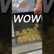 WOW #money #gold