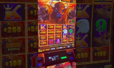 THE BIGGEST WIN OF MY LIFE! #gambling #casino #money #comedy #slots