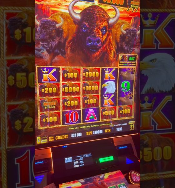 THE BIGGEST WIN OF MY LIFE! #gambling #casino #money #comedy #slots