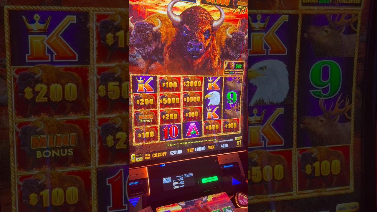 THE BIGGEST WIN OF MY LIFE! #gambling #casino #money #comedy #slots