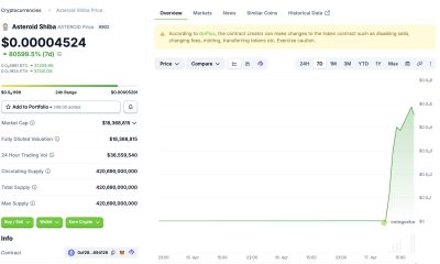Asteroid Shiba is circulating on crypto social feeds with Elon Musk and SpaceX branding attached. But is it the real deal?