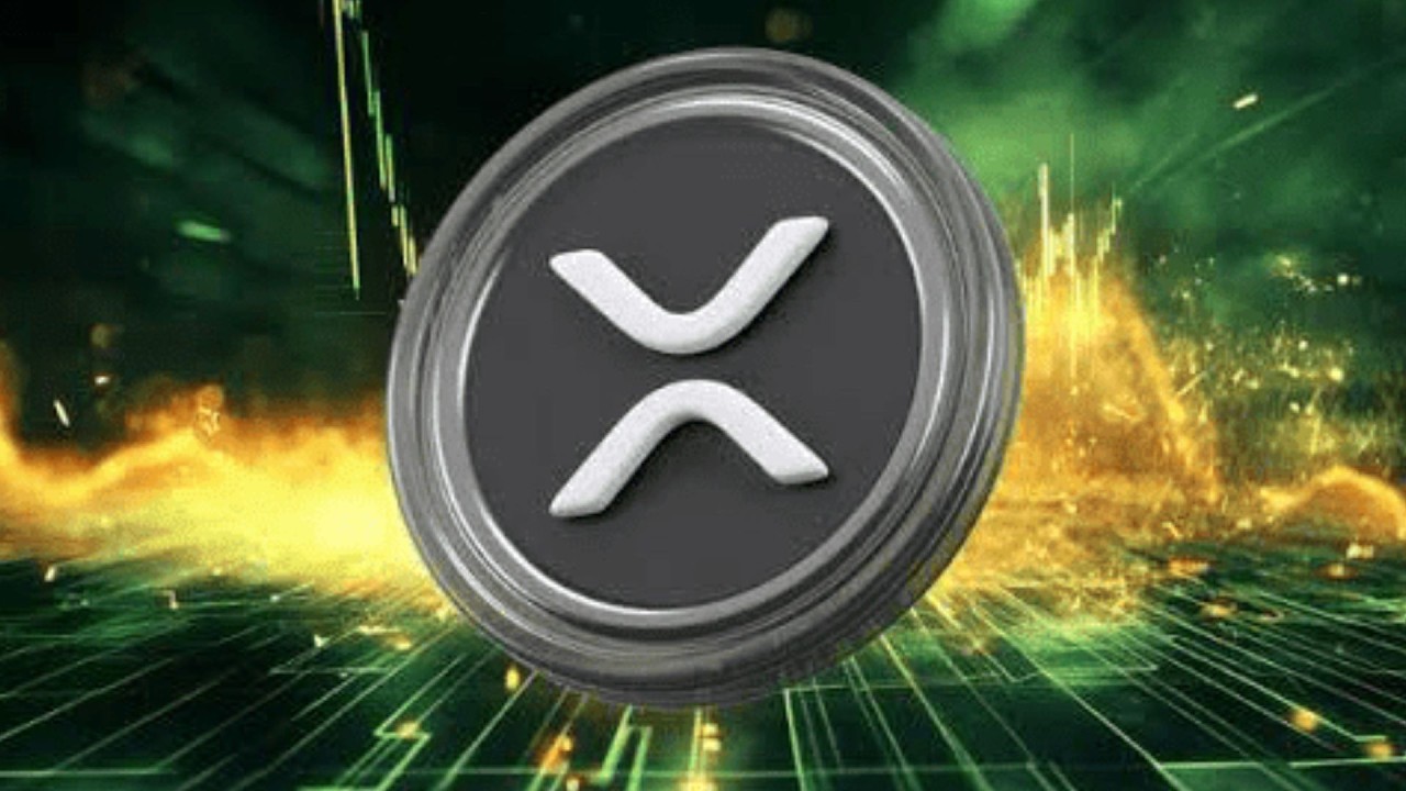 XRP BOOOOOOOOOOOOM WE TOLD YOU SO !!!!!