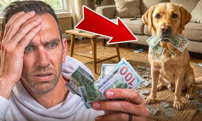 Sorry Scammers, My Dog Ate Your Money...