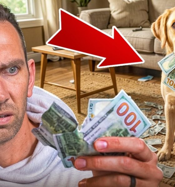 Sorry Scammers, My Dog Ate Your Money...