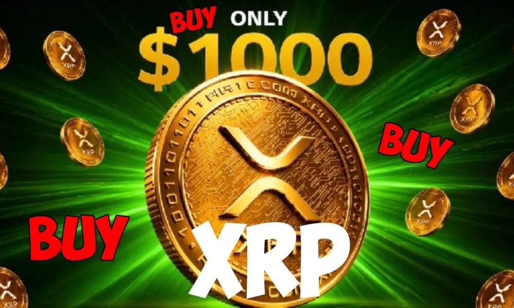 Ripple XRP WE ARE OUT OF THE STORM CONFIRMED BY RIDDLERS $1000 PRICE TARGET PERSEVERE LETS GO!!!