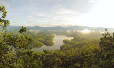 How Southeast Asia Can Safeguard Nature While Unlocking $2 Trillion Annually