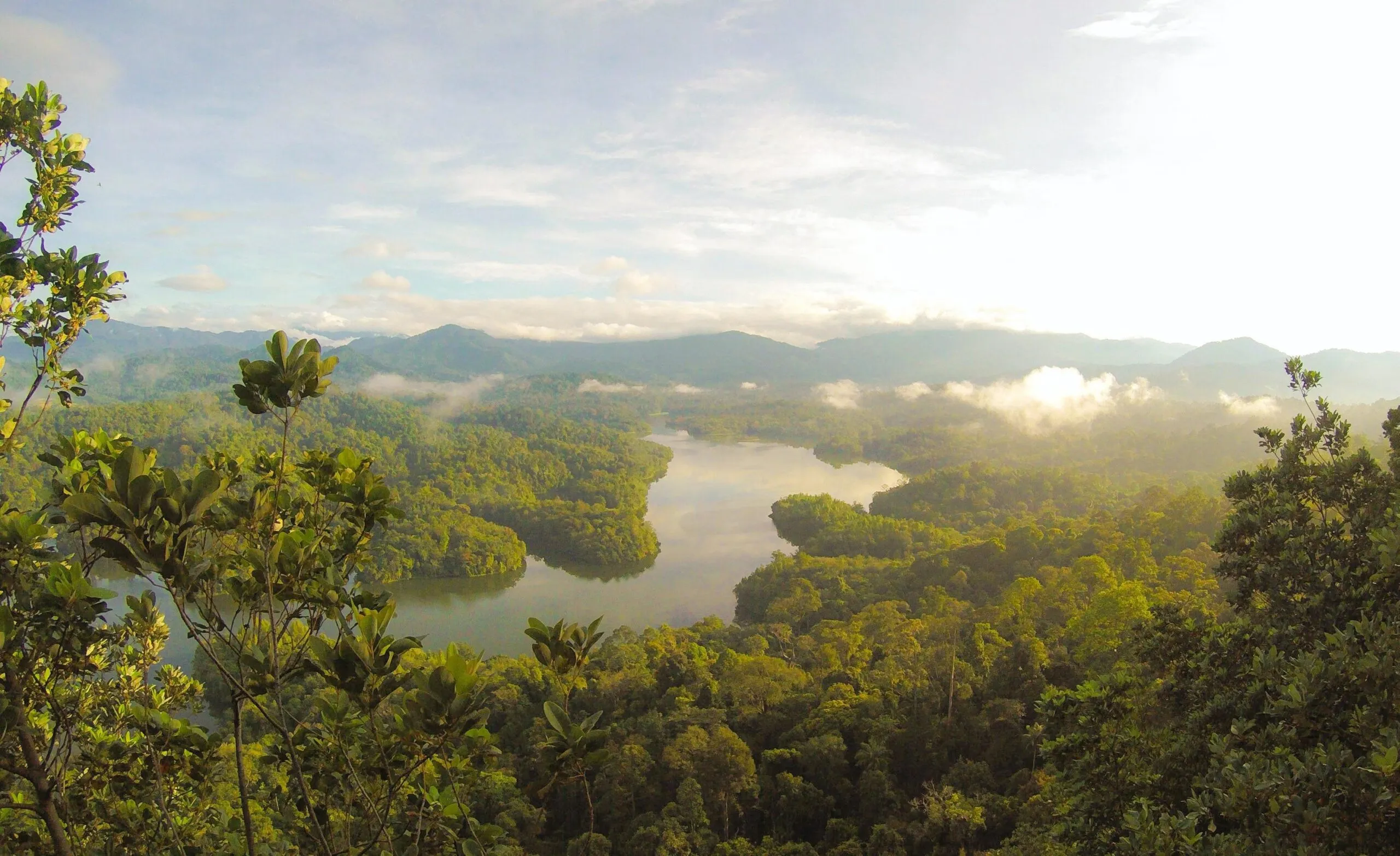 How Southeast Asia Can Safeguard Nature While Unlocking $2 Trillion Annually