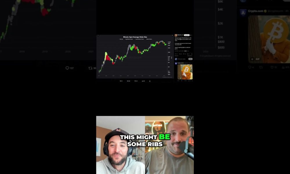 Whales Accumulate Bitcoin: Biggest Buying Since 2013! #shorts