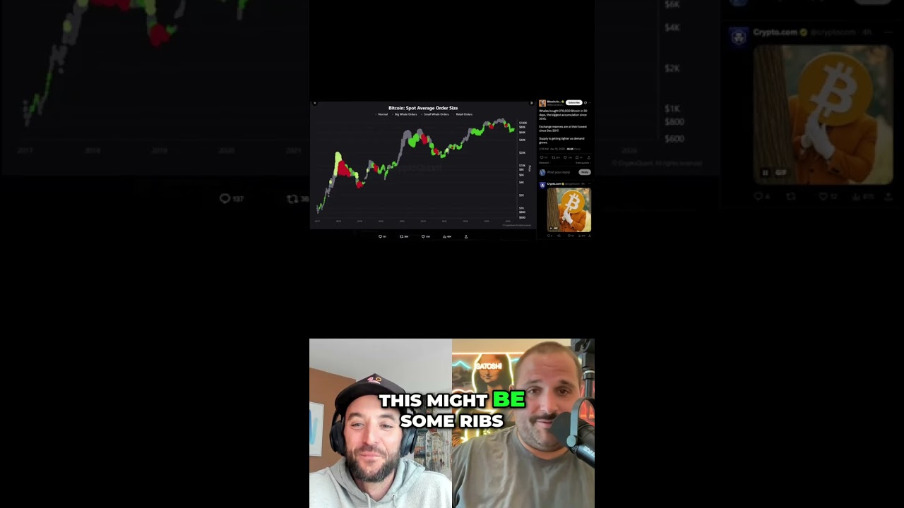 Whales Accumulate Bitcoin: Biggest Buying Since 2013! #shorts